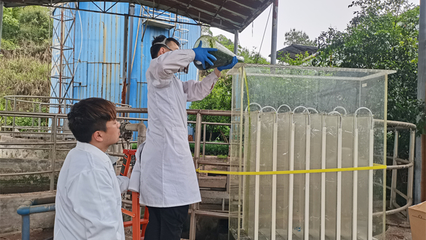 守初心 擔使命 跨學科團隊驅動清潔能源科技突破