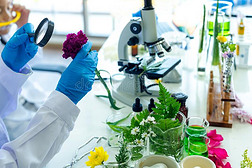 科學發展觀與自然科學研究和試驗發展的內在統一